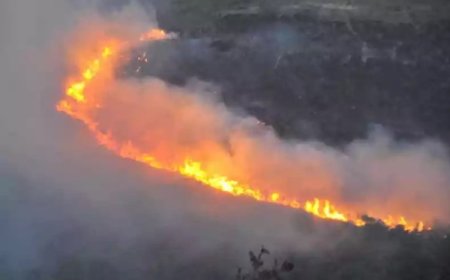 SIAMIG manifesta preocupação com os incêndios rurais em Minas