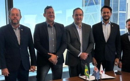 FIEMG busca parcerias na Austrália para fábrica de ímãs de terras raras