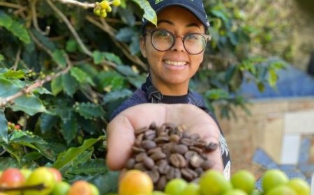 Mineira produz café de R$ 34 mil a saca