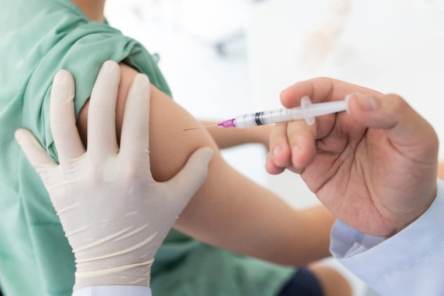 BH reforça a importância da vacinação contra febre amarela e mantém vigilância