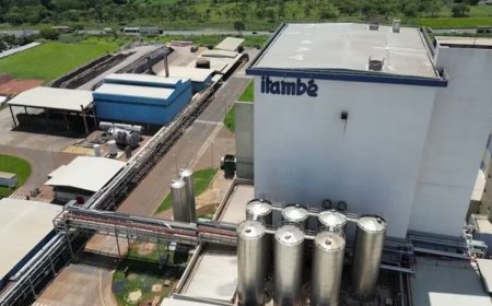 Lactalis investe R$ 291 milhões em Minas
