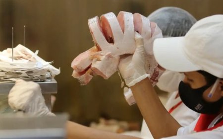 Pescado aumenta de preço em Uberlândia