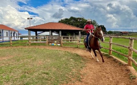 Programa do Senar, em parceria com o SPR Sete Lagoas e a ABCCMM, transforma a vida de tratador de cavalos