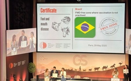 Brasil livre de febre aftosa sem vacinação