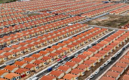 Uberlândia terá 2,4 mil casas do “Minha Casa”