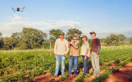 Sistema Faemg Senar lança campanha que leva o agro ao território da cultura