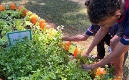 Agro na Escola une educação e prática no campo em Belo Oriente