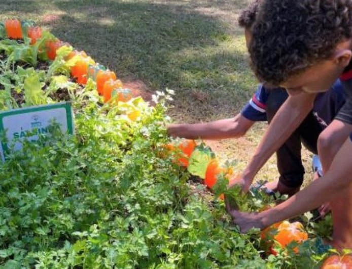 Agro na Escola une educação e prática no campo em Belo Oriente