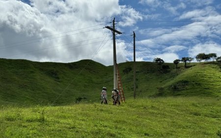 Eletrificação rural recebe investimentos