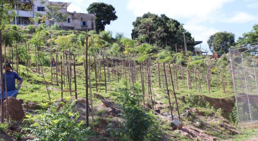 Comunidade do Granja de Freitas e Taquaril participa de ação de educação ambiental do Programa Renascente